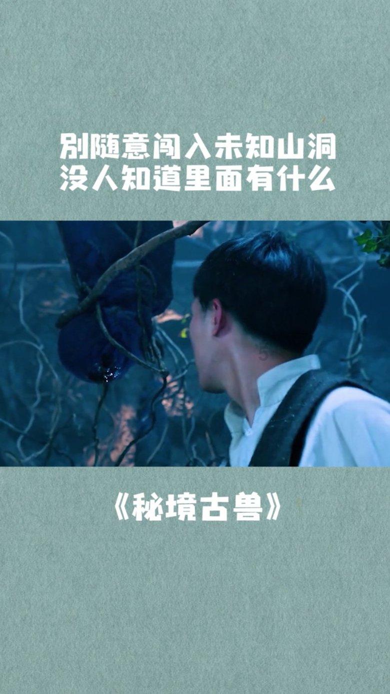 沙漠中寻宝