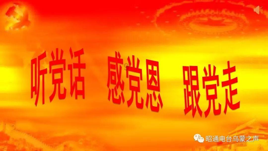 签发原产地证书26万余份 厦门海关全年助企享惠逾37亿元