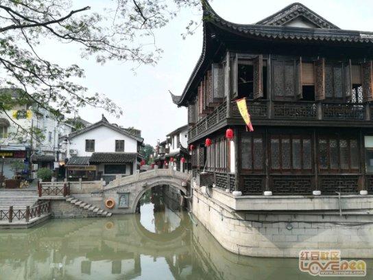 盐和避难所